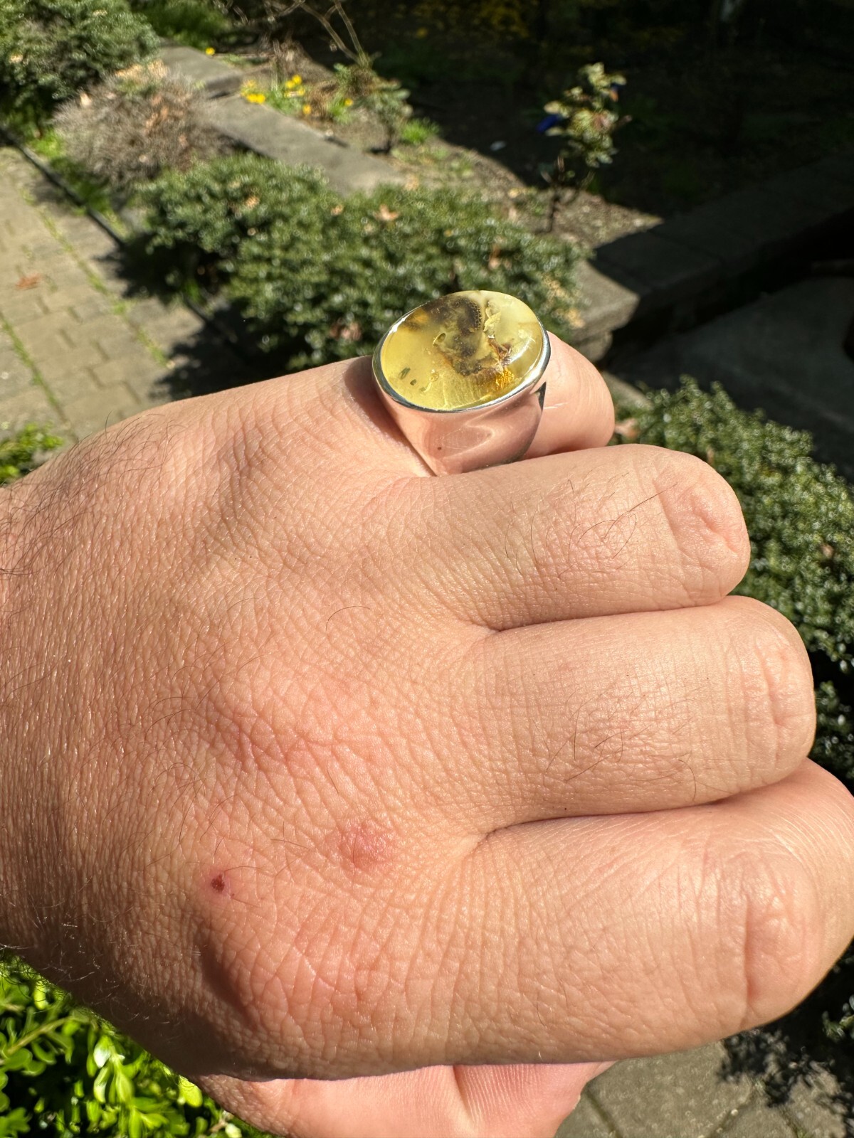 Large Genuine Baltic Amber Stone Mens Real Solid 925 Sterling Silver Signet Ring