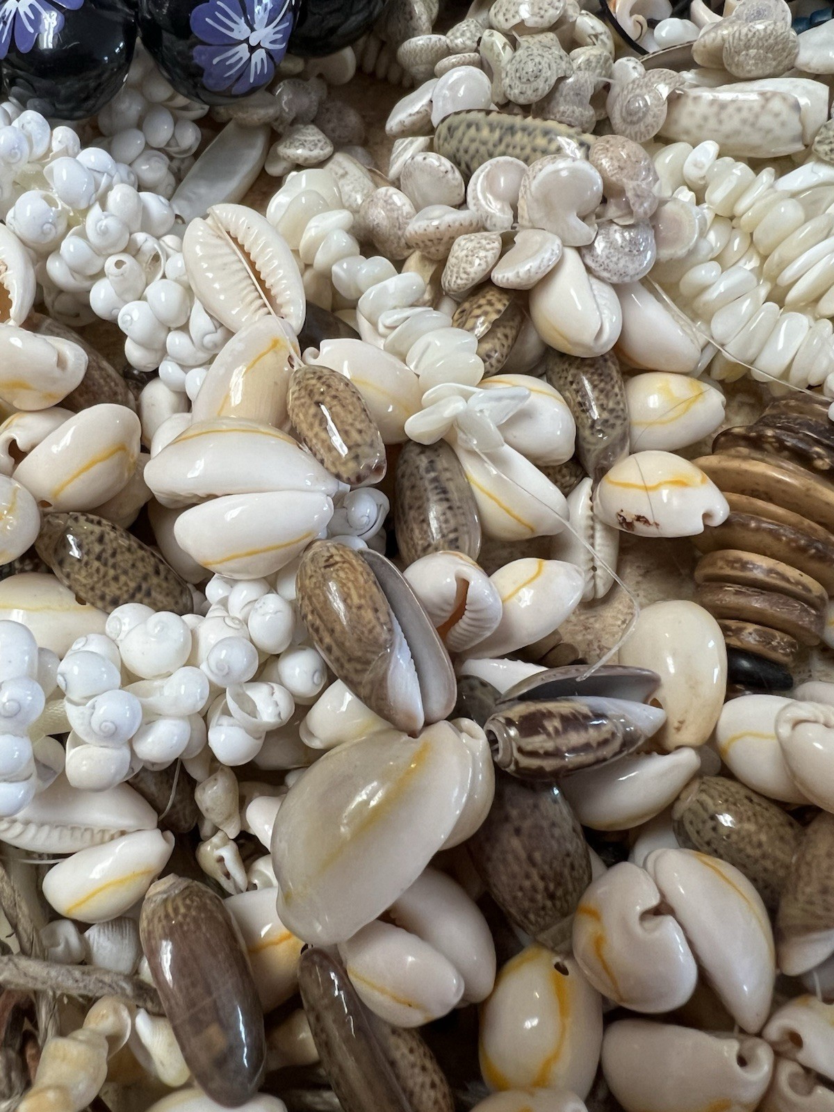 3 Lbs Lot Seashell Shell Pukka Cowrie Jewelry Strands Necklaces Bracelets SS1
