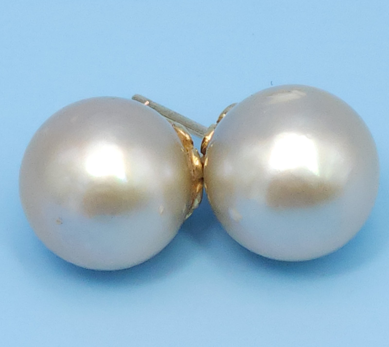 18K Yellow Gold South Sea Cultured Cream Champagne Pearl 12mm Stud Earrings 7g