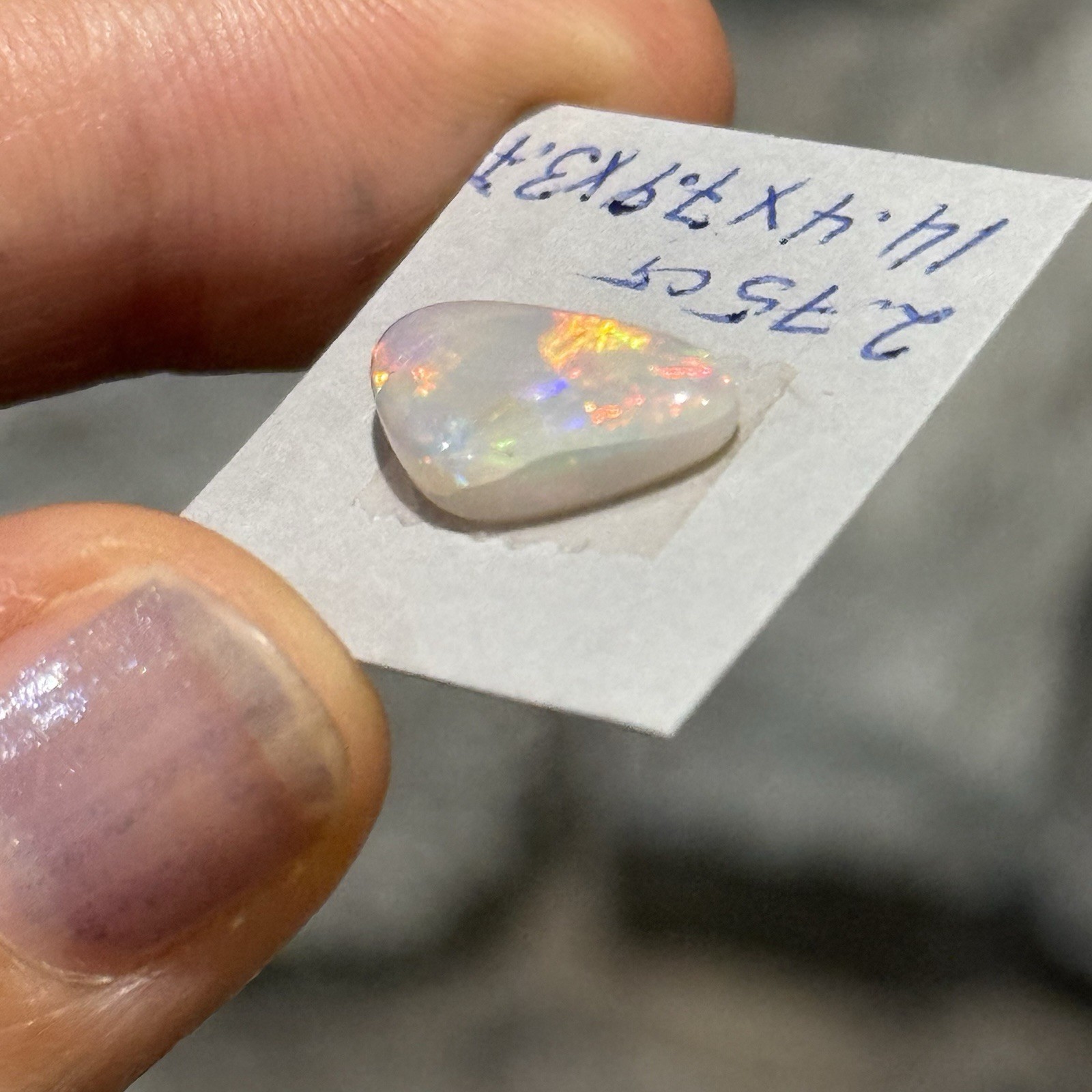2.75ct 14.4×7.9×3.7mm Lightning Ridge Australian Crystal Opal Cabochon Gem