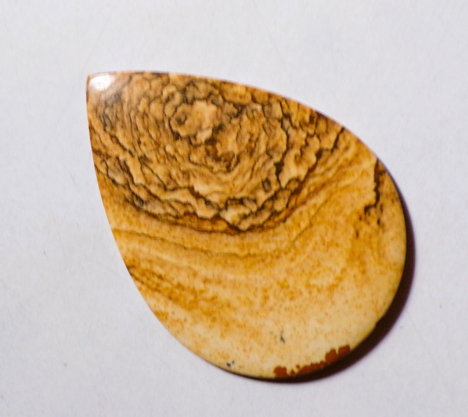 48.30 Cts Natural Picture Jasper Cabochon Loose Gemstone 51X36X4MM