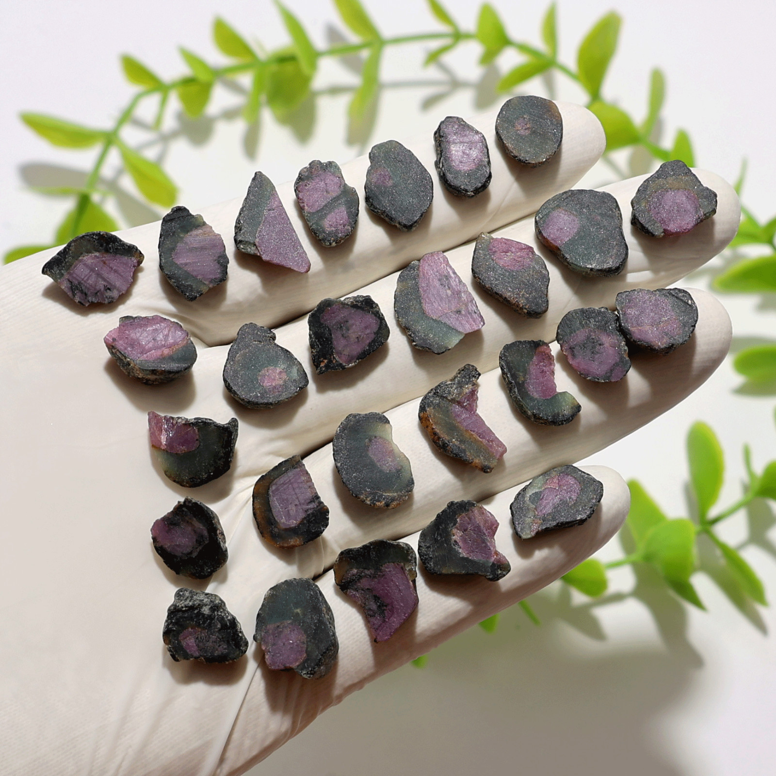 27 PC Natural Watermelon Ruby Untreated 11.5mm-17.4mm Rough Loose Gemstones Lot