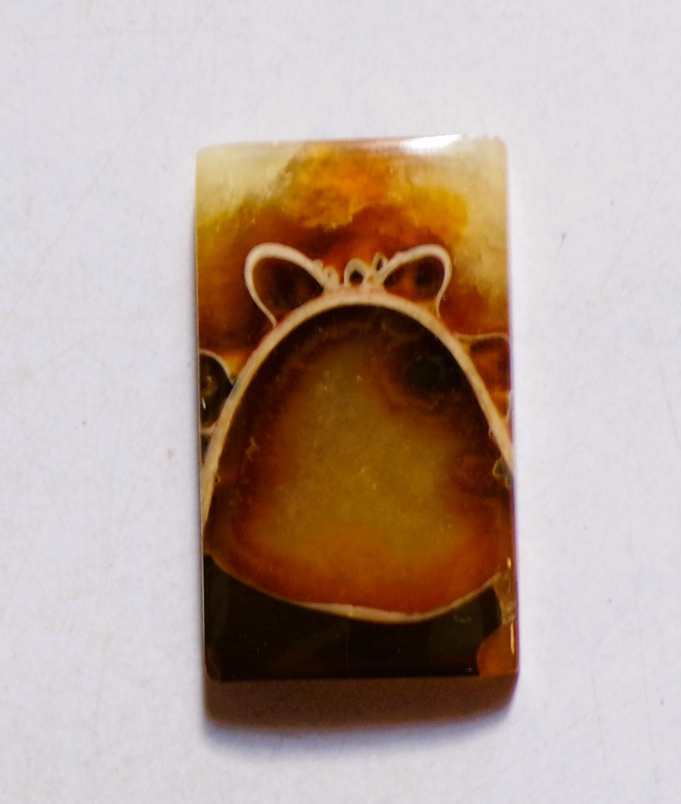 17.95 Cts Natural Ammonite Cabochon Loose Gemstone 25X14.4X4MM