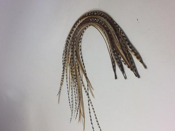 4-6 feathers- Five Natural Dark Browns with Beige Mix Feathers for Salon Quality