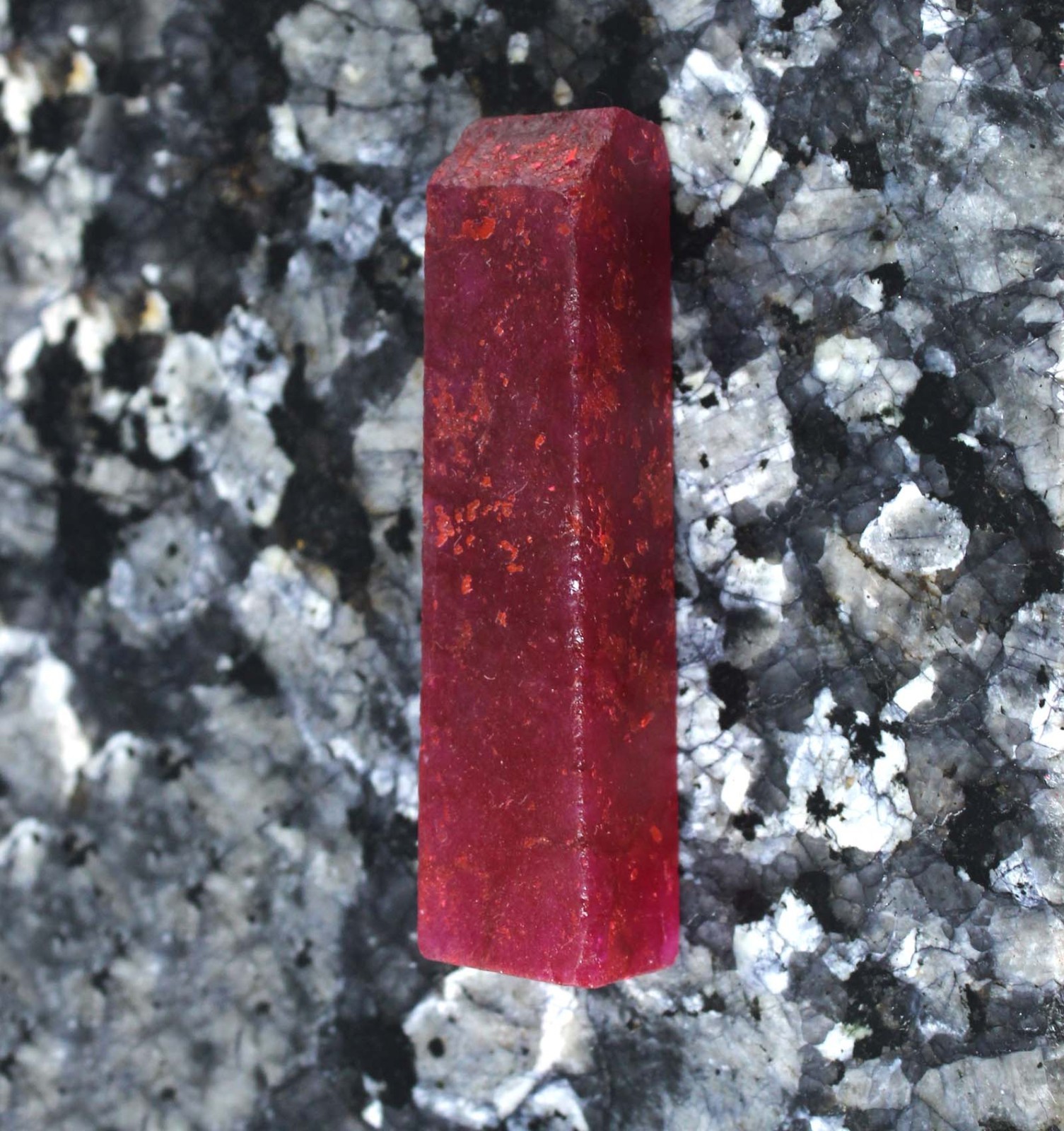 124 Ct Certified Natural Red Ruby Gemstone Slice Rough T36909 Birthday Discount
