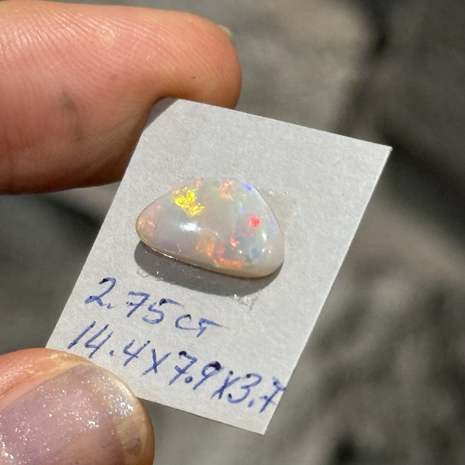 2.75ct 14.4×7.9×3.7mm Lightning Ridge Australian Crystal Opal Cabochon Gem