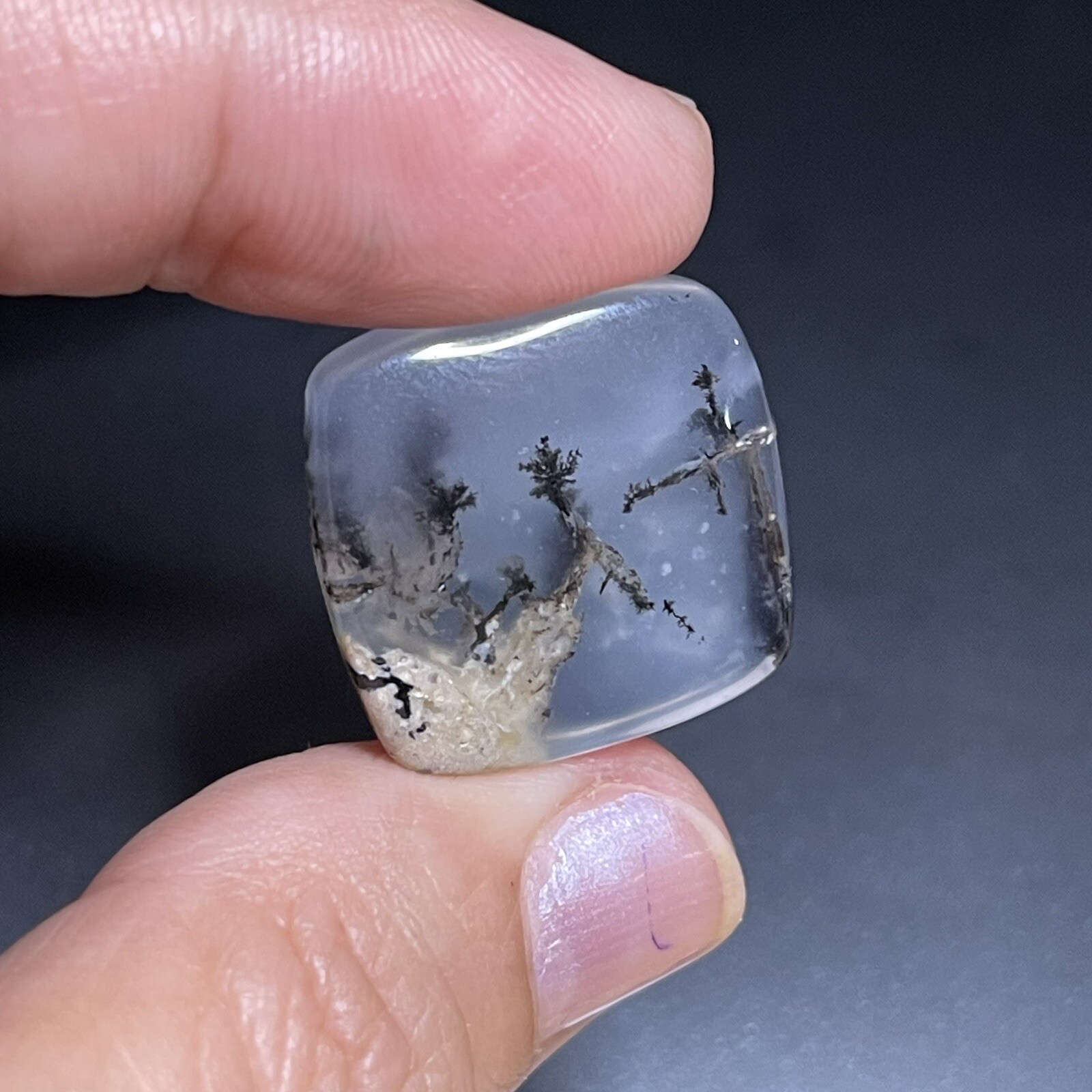 21.3ct 21x21x5.8mm Picture Like Dendrite Agate Smooth Cabochon Collector’s Stone