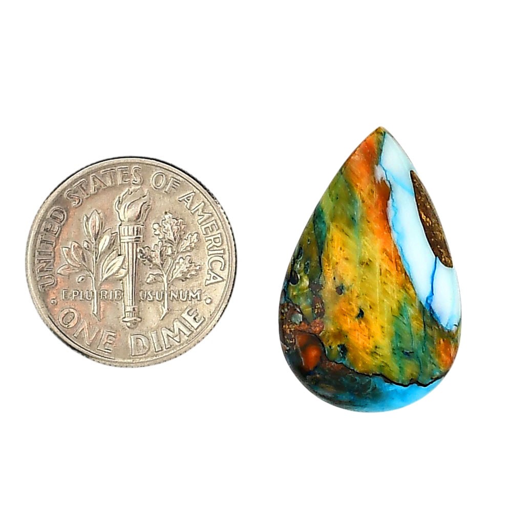 Spiny Oyster Turquoise 15.5×14.1×4.3 mm Pear Shape Polished Gemstone LS87-06272