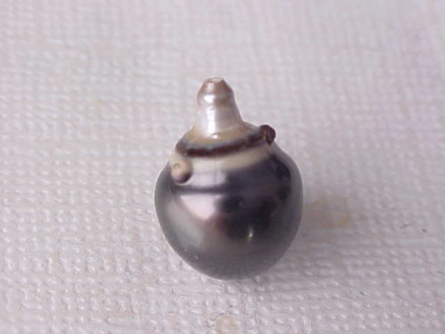10.2MM X 14MM AAA GENUINE TAHITIAN PEARL HALFDRILLED #243