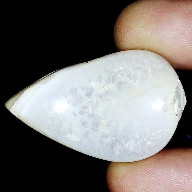 100% Natural Fossil Snail Druzy Gemstone 111.90 CTS 28X45X12mm snail druzy BC-38