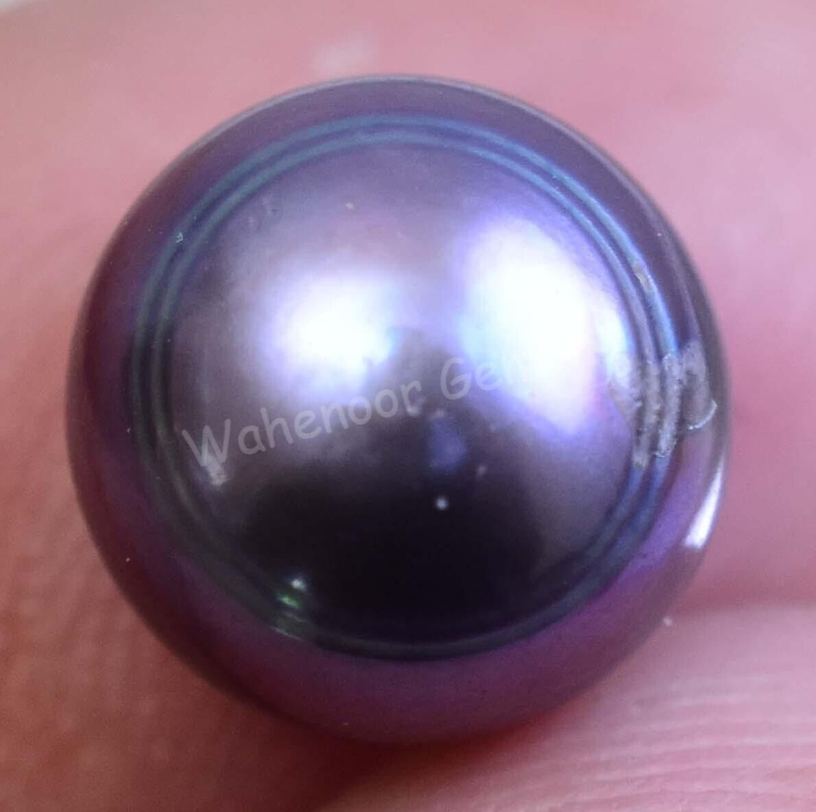 4.50 Ct Natural Tahitian Gray Blue South Sea Pearl AGL Certified Untreated Gems