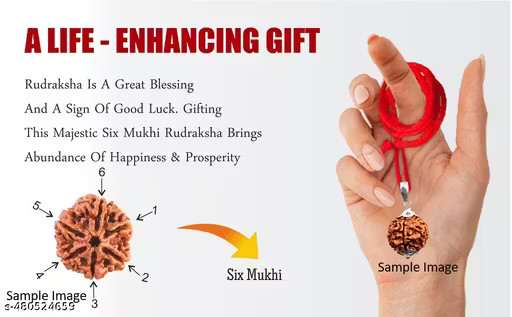 RUDRAKSHA PENDANT NECKLACE 6 Mukhi Nepali Rudraksha Six Face Rudraksh Pendant