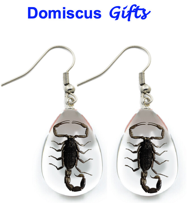 NEW Real INSECT Black SCORPION EARRINGS Teardrop Clear Jewelry PENDANT Free Ship