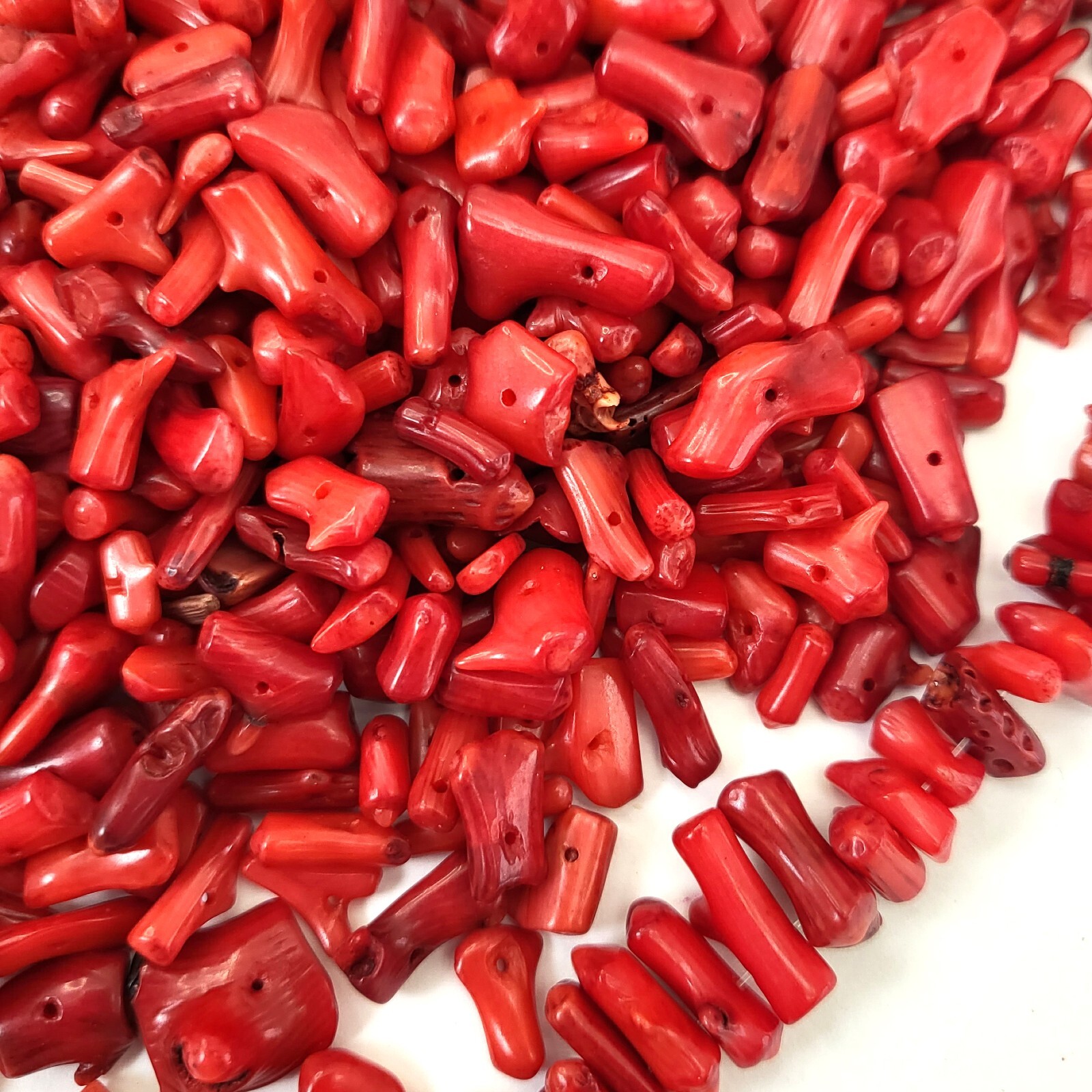 Red Coral Bamboo Small Branch Stick Loose Spacer Beads 1/2 LB Jewelry 6-15mm