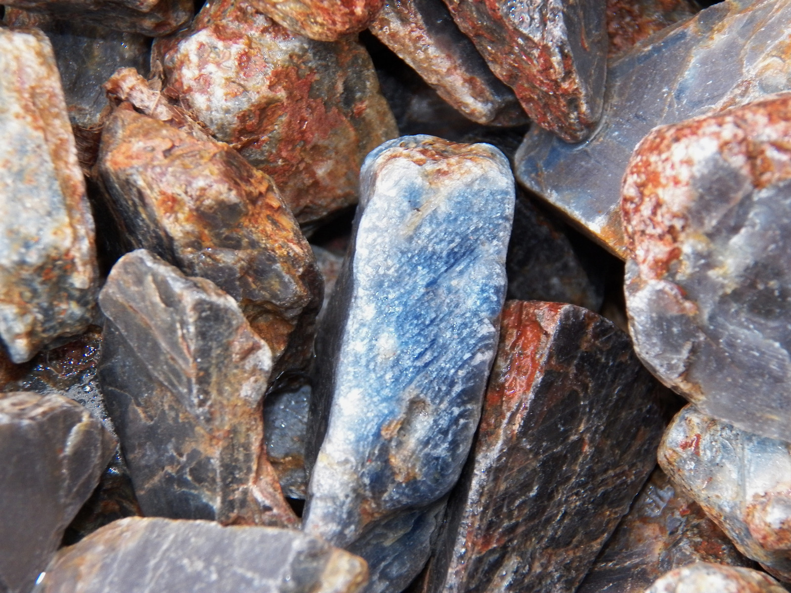 1000 Carat Lots of Blue Sapphire Rough – Plus a FREE Faceted Gemstone