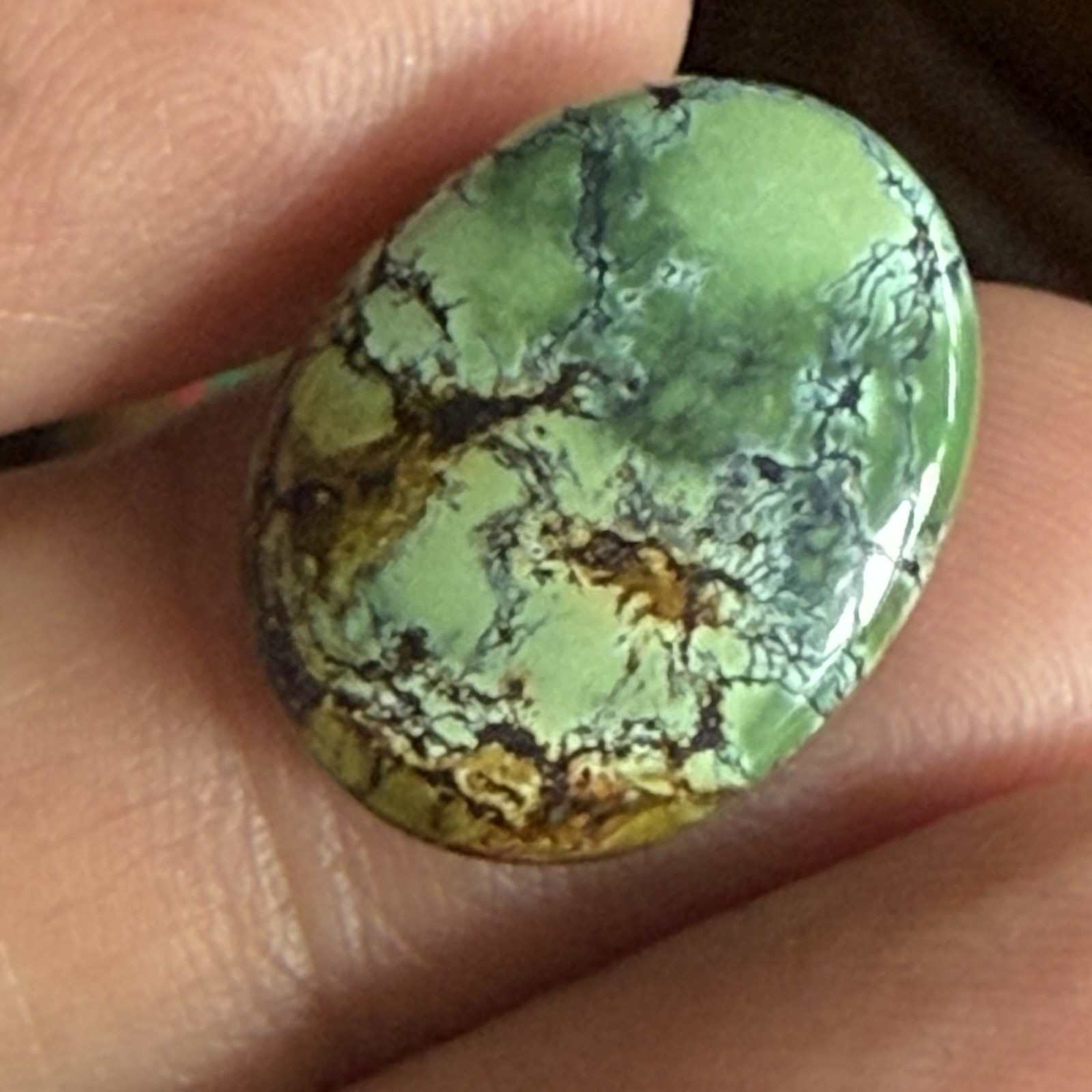 14.10ct 18.7c14.7×6.5mm Green Qingu Mine Turquoise Oval Cabochon Backed Stone