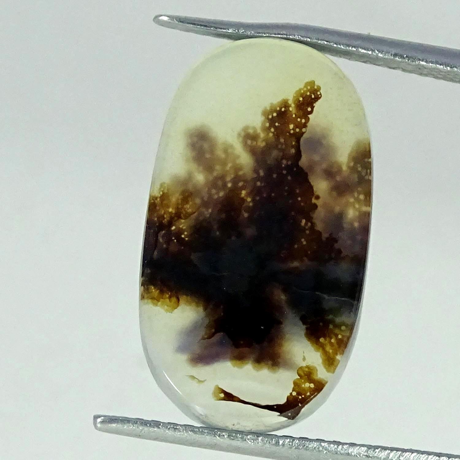 6.90Cts AA+ Natural Shazar Dendritic Agate Oval Cabochon 11X20X3MM