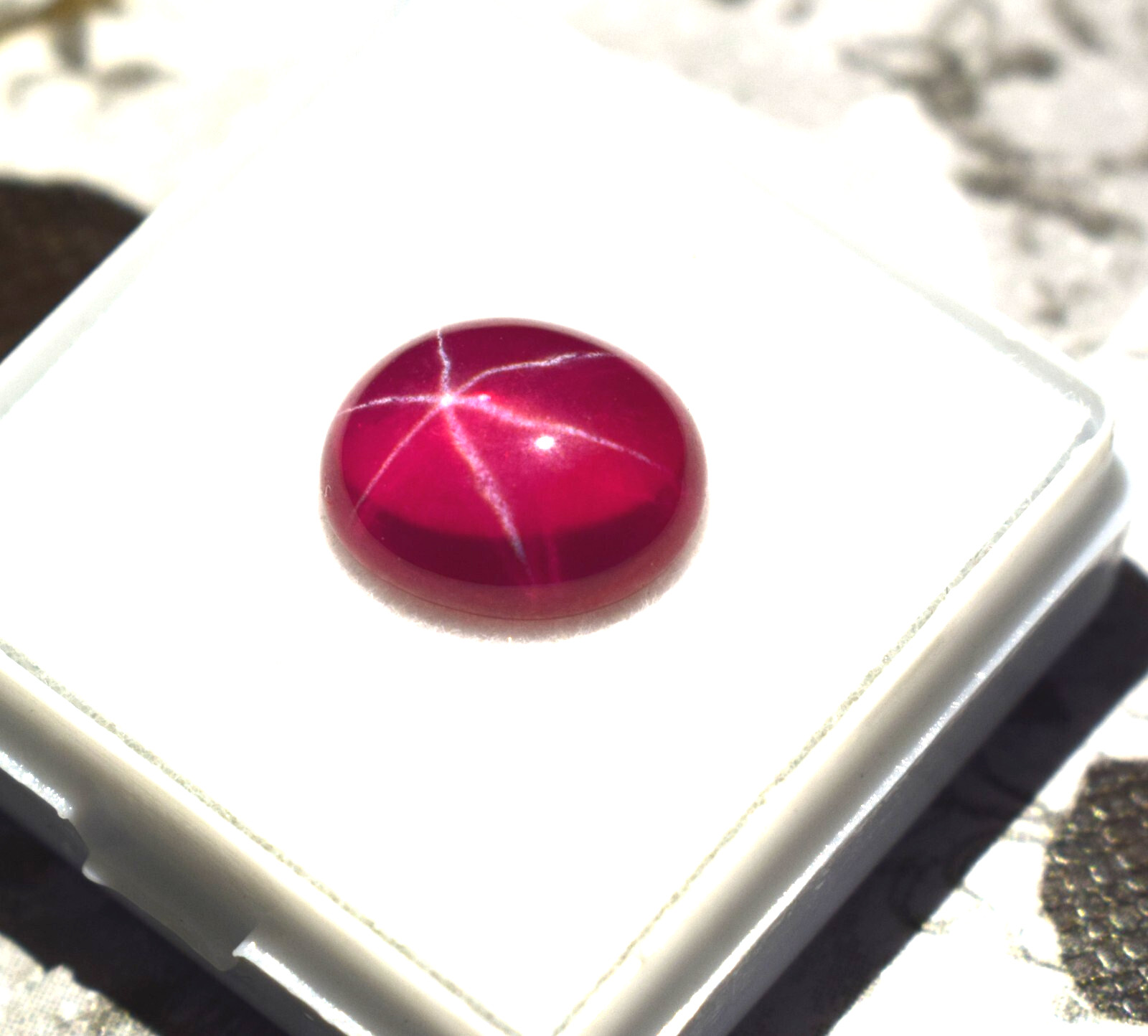 Certified Oval Cabochon 5.75 Ct Natural 6 Rays Red Star Ruby Loose Gemstone