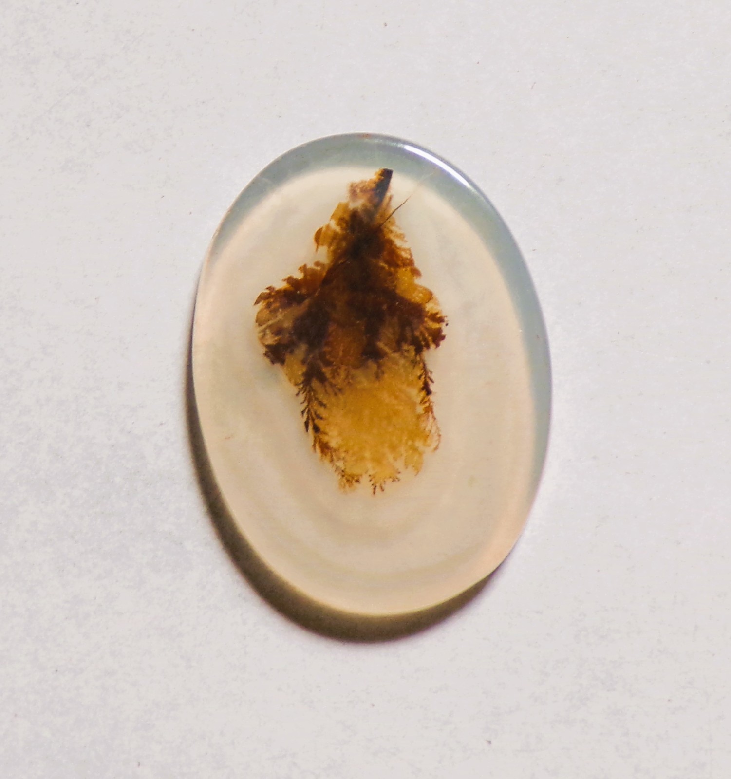 7.60 Cts Natural Shazar Dendritic Agate Cabochon Loose Gemstone 22X16X2MM 145