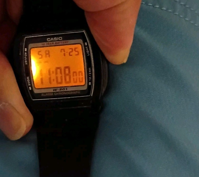 Casio Illuminator Digital Watch 2879 W-201 Black Band New Battery Working Great