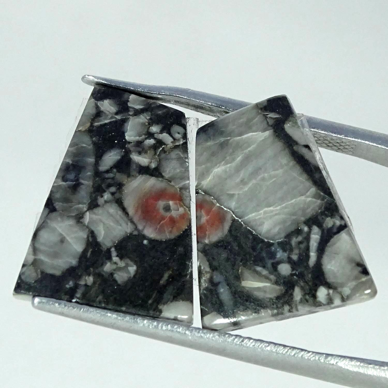 11.00Cts 100% Natural Crinoid Fossil Fancy Cabochon Pair Gemstone 12X16X3MM