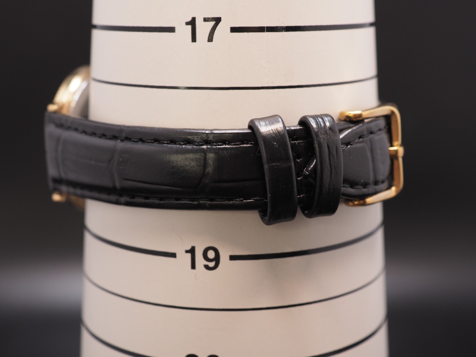 Vintage N MINT Rado 204.3608.2 Gold Dial Qz 32mm Womens Watch JAPAN Limited