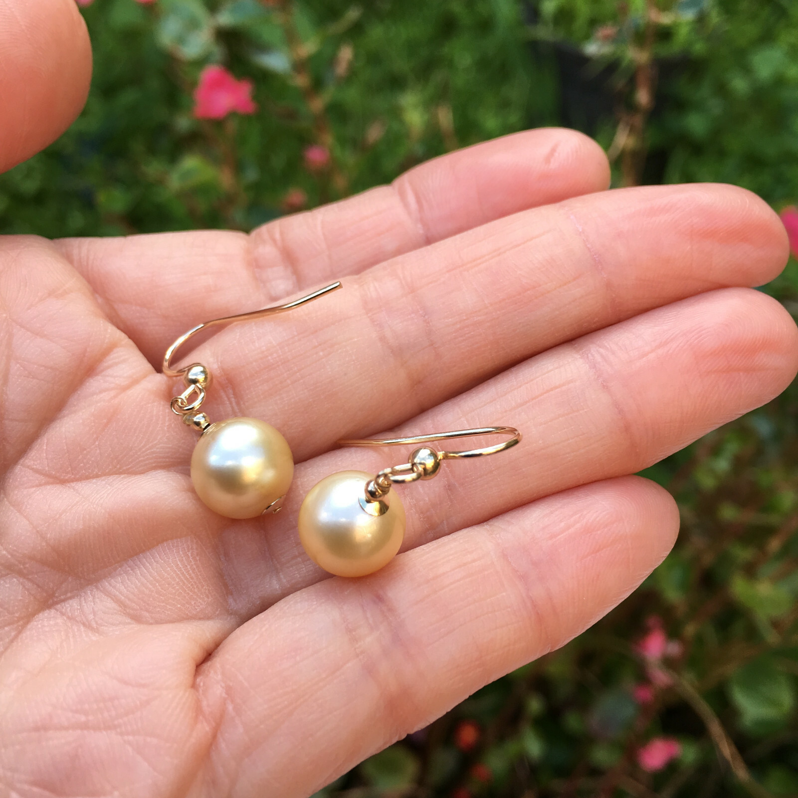 9.5-10mm natural high luster Australia gold seawater Pearl 14KGF Earring 29.5mm